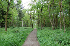 Oakley Wood Crematorium