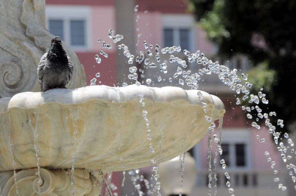 cremation ashes idea