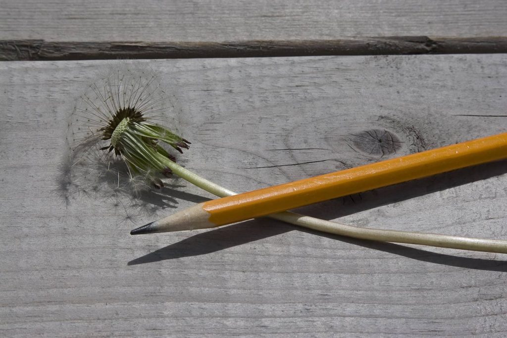 cremation ashes idea